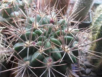 006.webp
