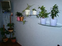 2009зима04.webp