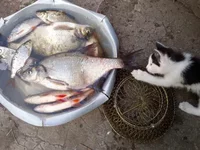 2013-05-12-0032 - копия.webp