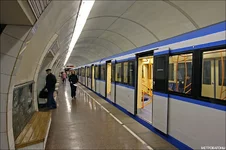 krukovec-online-09.webp