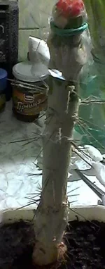 Photo0006-1.webp