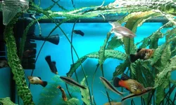 20160401_141013.webp