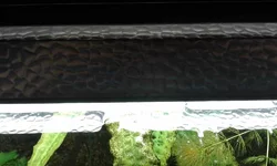 20160401_141136.webp
