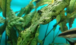20160401_141201.webp