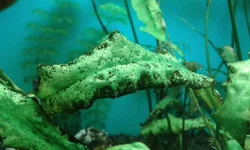20160401_141244.webp