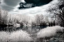 1264340427_amazing-infrared-photography-by-jeffrey-klassen-22.webp