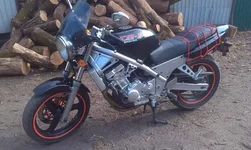 image.webp
