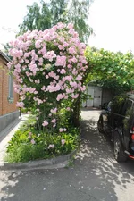  318.webp