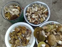 10072011672.webp