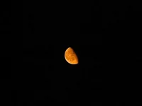 DSCN0334.webp