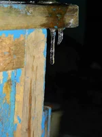 DSCN6250.webp