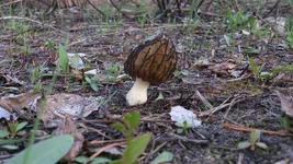DSC_0042.jpg