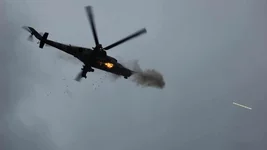 12973526_583.jpg