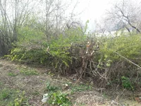 2016-04-14 16.36.31.webp