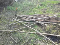 2016-04-14 16.41.45.webp