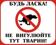 1.webp