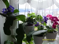 SDC19291.webp