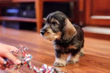 _MG_7927.webp