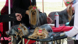 P1010088iz.jpg