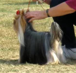 P1010095iz.jpg