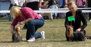 P1010096iz.jpg