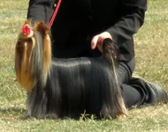 P1010097iz.jpg