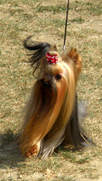 P1010107iz.jpg