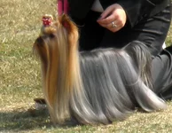 P1010108iz.jpg