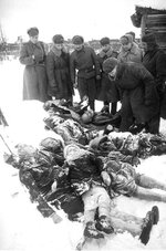 Злодеяния гитлеровцев. Гатчина, январь 1944 г..jpg