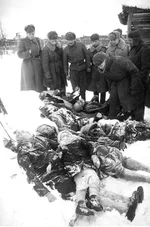  гитлеровцев. Гатчина, январь 1944 г..webp