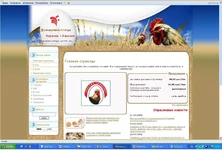 .webp