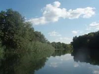 94.webp