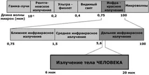.webp