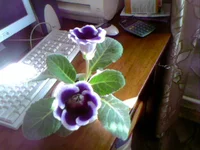 Photo-0361.webp