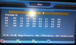 323.webp