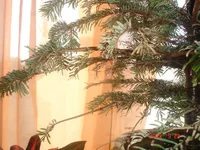 _сад_24_09_09 (14).webp