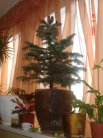 _сад_24_09_09 (17).webp