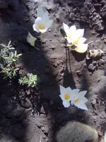 0048_изменить размер.webp