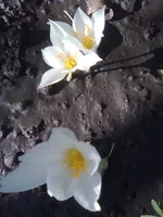 0049_изменить размер.webp