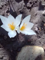 0051_изменить размер.webp