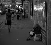 DSC_4453-1.webp