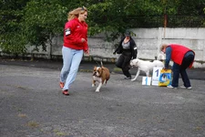 DSC_1427.webp