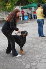 DSC_1511.webp