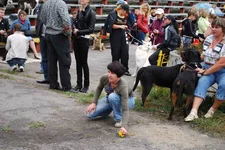 DSC_1528.webp