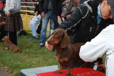 DSC_1645.webp