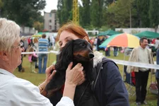 DSC_1655.webp