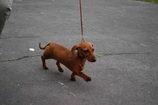 DSC_1743.webp