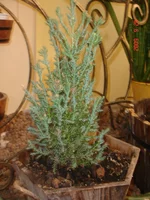 _сад_24_09_09 (33).webp