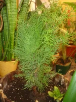 _сад_24_09_09 (34).webp