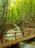  каньон Крыма. Мост.webp